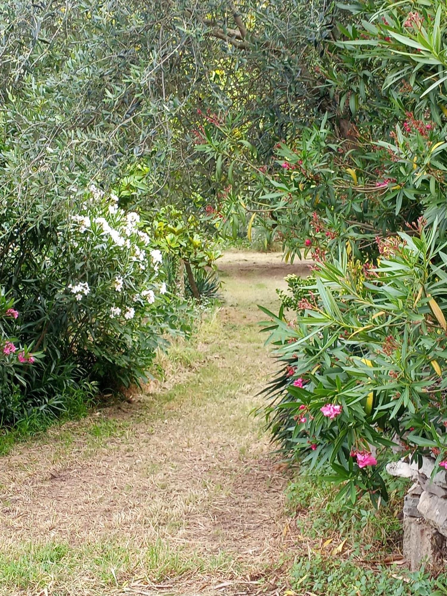 Casa Dell'Uliveto Villa Albettone Eksteriør bilde